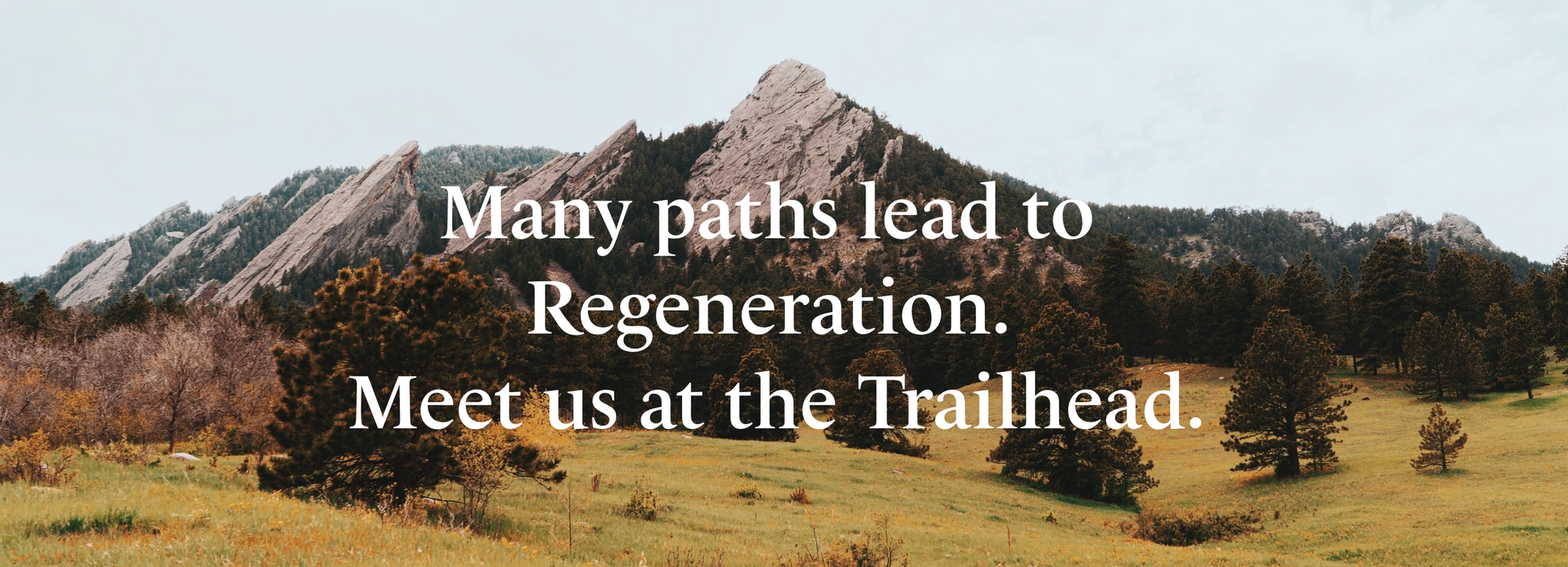Photograph of small mountainous terrain with a headline overlay reading, "Many paths lead to Regeneration. Meet us at the Trailhead."